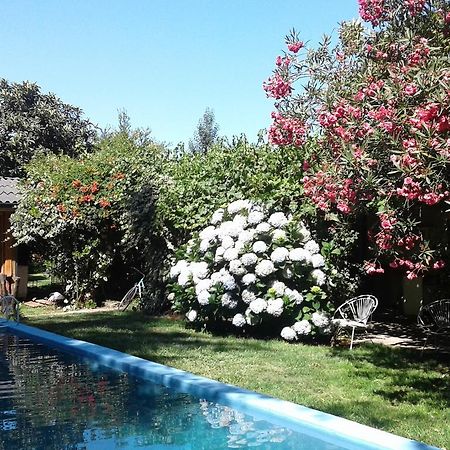 Puerta Del Sol Molina B&B Екстериор снимка