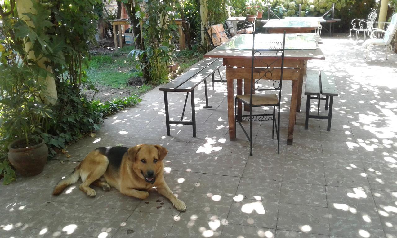 Puerta Del Sol Molina B&B Екстериор снимка